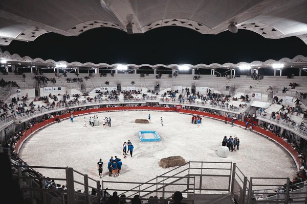 Meilleures barres de musculation : les tendances sur le marché en 2024