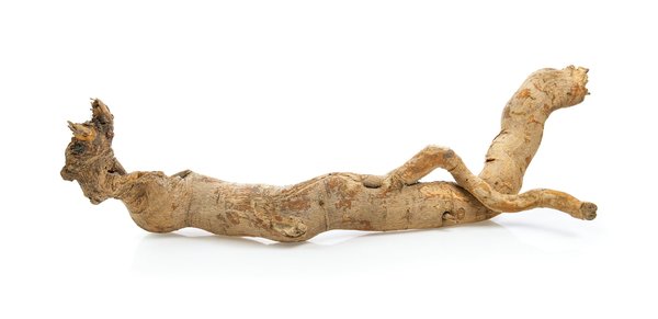 Tongkat ali : les bienfaits du produit sur la santé